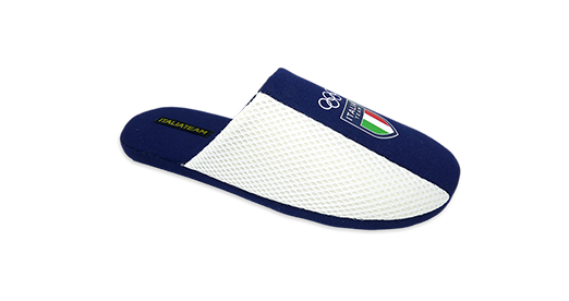ITALPLUS